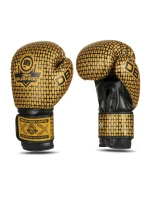B-2v23 boxerské rukavice 10 oz