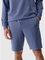 Pánské kraťasy 4F