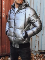 Pánská zimní bunda s kapucí ve stříbrné barvě FashionStreet TX3948