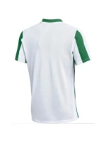 Tričko Nike Dri-FIT Stripped Division V Jr FZ9341-103 Tričko Nike Dri-FIT Stripped Division V Jr FZ9341-103