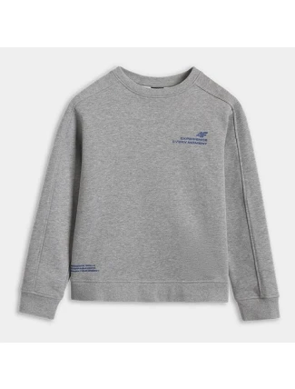 Mikina 4F JUNIOR 4FJRAW25TSWSM2413-25M