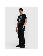 Pánské tričko 4F 4FRAW25TTSHM3258-20S