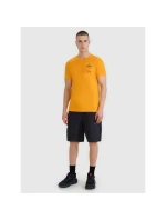 Pánské tričko s potiskem 4F 4FRSS25TTSHM2688-70S