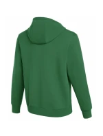 Pánská mikina Nike Park 26 Fleece Hoodie Green IB1222 302 pánské