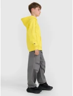 Chlapecká mikina 4F Chlapecká mikina 4F