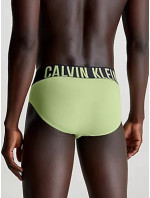 Pánské spodní prádlo HIP BRIEF 3PK 000NB3607AOG5 - Calvin Klein