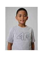 Chlapecké tričko s potiskem 4F 4FJRSS26TTSHM3599-10S