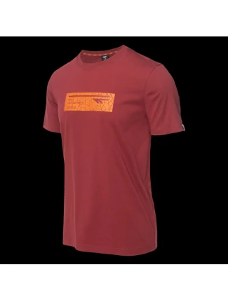 Pánské tričko s krátkým rukávem HAMILONI