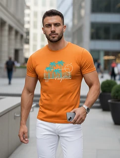 Pánské tričko s potiskem classic orange FashionStreet NX5020R