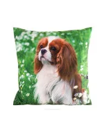 Eurofirany Povlak na polštářek Animal 45x45