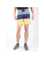 Šortky DC SEDYBS03069-BYB0