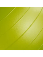 Gymball plus TI-SP0055O - Tiguar