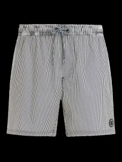 Pánské plážové šortky Protest PRTMANAMA