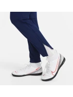 Kalhoty Nike Therma Fit Academy Winter Warrior Jr DC9158-492 Kalhoty Nike Therma Fit Academy Winter Warrior Jr DC9158-492