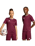 Dětský dres adidas Entrada 26 Jersey bordó JZ2530