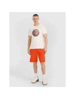 Pánské tričko s potiskem 4F 4FRSS25TTSHM3093-11S pánské