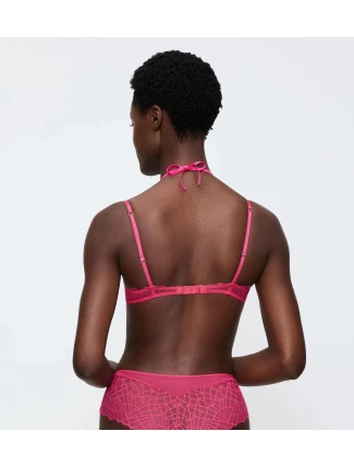 That Night In Vegas WHP - UNKNOWN - TRIUMPH UNKNOWN - TRIUMPH