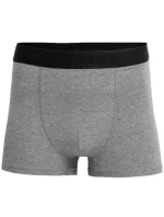 Pánské slipy M H4L22-BIM350-90M - 4F