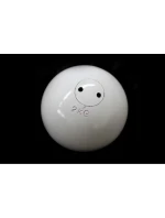 Míč 2 kg Míč 2 kg