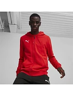 Puma Team Goal Casuals Hooded M 658595 01