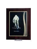 Plastový diplom s vyrytou kovovou destičkou