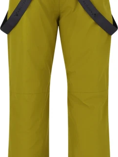 Pánské lyžařské kalhoty Whistler Drizzle W-Pro 10000