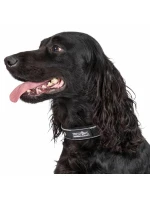 Trespass obojek pro psy