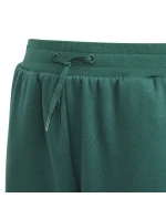 Adidas BLUV Q3 Pant Jr IA1553 Adidas BLUV Q3 Pant Jr IA1553