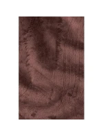 Dámská přechodná bunda s kapucí Jack Wolfskin Windhain Hoody W softshell červená (1307481_2866) Dámská přechodná bunda s kapucí Jack Wolfskin Windhain Hoody W softshell červená (1307481_2866)