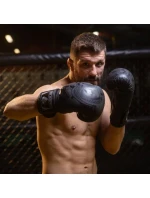 Boxerské rukavice 8oz - Black Dragon - Valor Series
