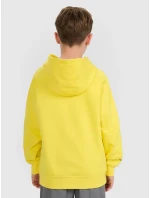 Chlapecká mikina 4F Chlapecká mikina 4F