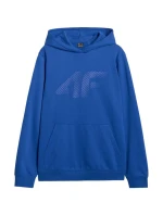 Pánská mikina 4F M1980 cobalt 4FWAW25TSWSM1980 36S pánské