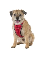 Špičkový postroj pro psy Trespass Tanked Špičkový postroj pro psy Trespass Tanked