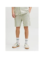 Jack&Jones pánské pruhované šortky JPSTJAIDEN COBA STRIPE JOG SHORTS REG SN 12274413 TEA/STRIPES Jack&Jones pánské pruhované šortky JPSTJAIDEN COBA STRIPE JOG SHORTS REG SN 12274413 TEA/STRIPES