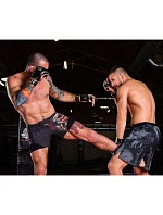 MMAtréninkové rukavice M - Aureos - Valor Series