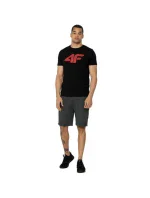 Pánské tričko M H4Z22 TSM353 21S - 4F