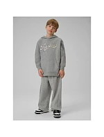 Chlapecká mikina s kapucí 4F 4FJRSS26TSWSM2636-27M dětská