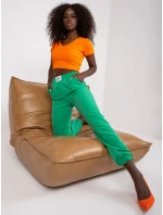 DHJ SP 15832 kalhoty.64 zelených