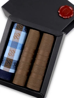 Pánské kapesníky CH-564 kpl=3 ks