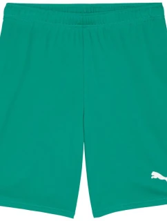 Pánské šortky Puma Team Goal zelené 705752 05
