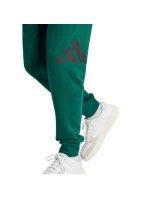 Kalhoty adidas Essentials Big Logo French Terry M JE8971