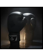 Boxerské rukavice 10oz - Black Master - Valor Series