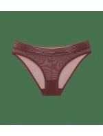Tempting Sheer Highleg Tai 2P - BROWN - TRIUMPH BROWN - TRIUMPH