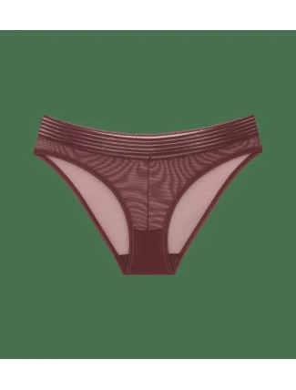 Tempting Sheer Highleg Tai 2P - BROWN - TRIUMPH BROWN - TRIUMPH