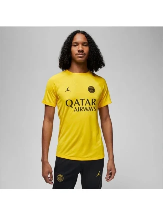 PSG DF Academy Pro SS Top PM 4TH M DR4906 720 - Nike PSG DF Academy Pro SS Top PM 4TH M DR4906 720 - Nike