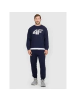 Pánské tepláky typu jogger 4F 4FRMM00TTROM1624-31S