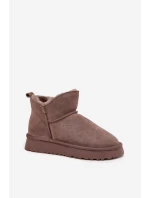 Sněhule  model 218293 Step in style