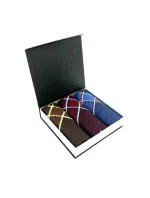 EGA CH-630 Pánský kapesník A'3