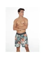 Pánské plážové šortky Protest PRTARYF (P2710621/672)