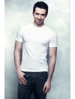 Pánské tričko Alex k/r - TOP-BIS Pánské tričko Alex k/r - TOP-BIS